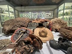 -北京中医药大学-中医药博物馆