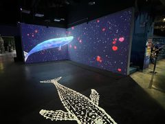 -顺德南宏海立方海洋公园