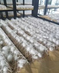 -太湖雪蚕桑文化园