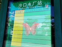-苏记美食(张槎一路店)