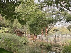 -成都市活水公园