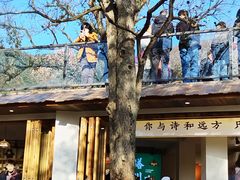 -塔川景区