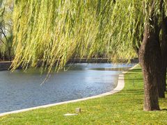 -北京动物园-畅观楼