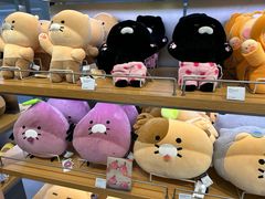 -KAKAO FRIENDS(弘大店)