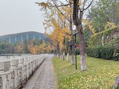 -重庆江北国际机场-T2航站楼