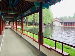 -百脉泉景区