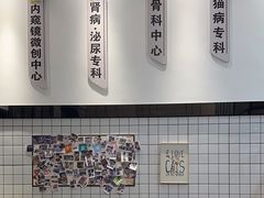 -半岛宠物医院24小时(科华中路店)