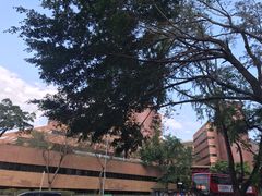 -香港理工大学