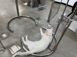 -蚂蚁造型俱乐部
