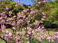 -宝界山林公园