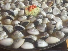 -顺德哥卜卜贝(旗舰店)