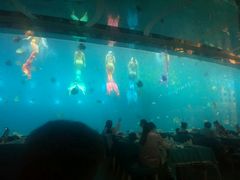 -瑞德姆美人鱼海底演艺主题餐厅(亚龙湾店)