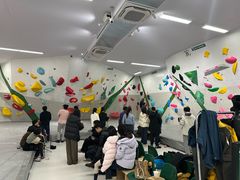 -绿壁虎攀岩基地(Tcar店)