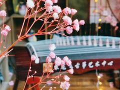 -蘭葶花酒馆(鼓楼店)