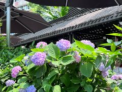 -听香·678茶铺(猛追湾店)