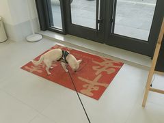 -喜多萌中农锦绣动物医院24H·猫科·牙科MRI·CT