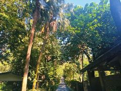 -广州市白云山风景名胜区