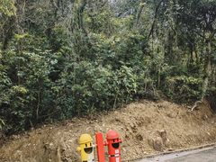 -佛山市三水区大南山森林公园