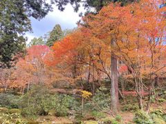 -三千院