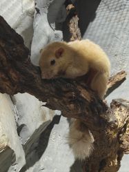 -Zoolung Zoolung动物主题公园(海信广场店)