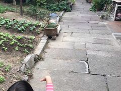 -小河无名面馆