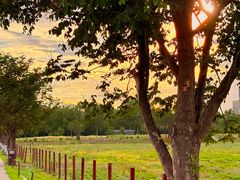 -汉长安城未央宫国家考古遗址公园