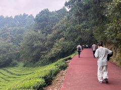 -敬亭山风景名胜区