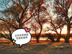 -布尔津河堤夜市