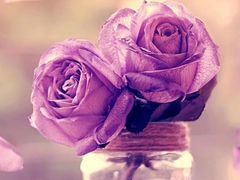 -东方宫中国兰州牛肉拉面(厦门旗舰店)