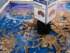 -盒马X会员店(上海森兰商都店)