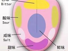 -美斯烘焙培训学院•蛋糕•面包•咖啡(宝安校区)