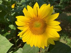 -奥林匹克森林公园北园-停车场