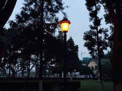 -南京农业大学(浦口校区)