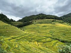 -南靖田螺坑土楼群景区