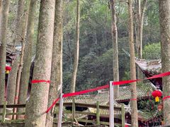 -青城山