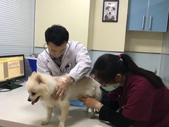 -瑞派·关忠动物医院(国瑞店)