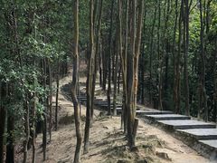-火炉山森林公园