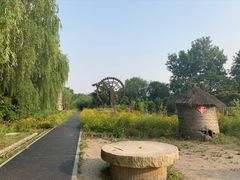 -溱湖国家湿地公园