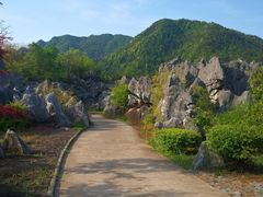 -千岛湖石林