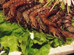 -辉哥火锅(虹桥路店)