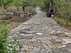 -南海湾森林生态园