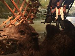 -兰州非物质文化遗产陈列馆