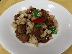 -成都保利公园皇冠假日酒店(熊猫基地店)