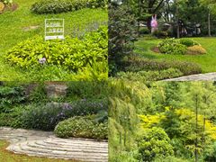 -云溪植物园