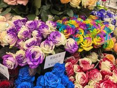 -荷兰花海