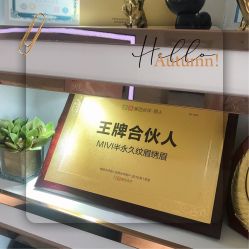 -MIVI野生眉纹绣纹眉