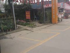 -金科花卉市场
