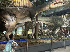 -湖南省地质博物馆