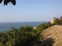 iphone_upload_pic-放鸡岛生态旅游国际度假区