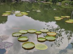 -云溪植物园